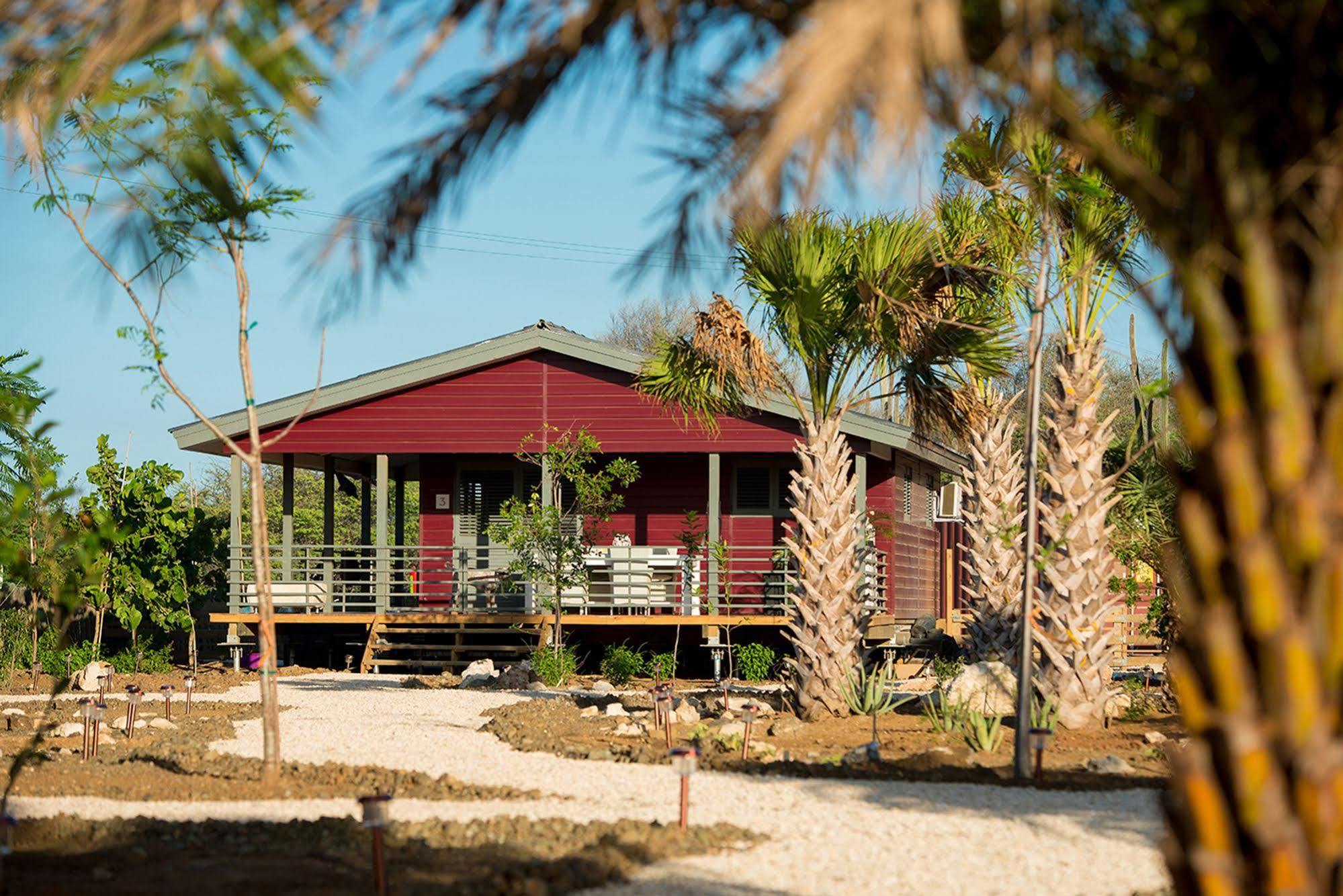 Red Palm Village Playa Kültér fotó